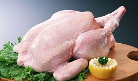 قیمت گوشت مرغ امروز سه‌شنبه ۲ دی ۱۴۰۴ + جدول