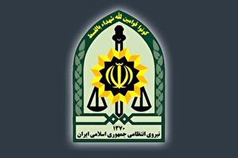 دستگیری تعدادی از عناصر خائن و خودفروخته در لرستان