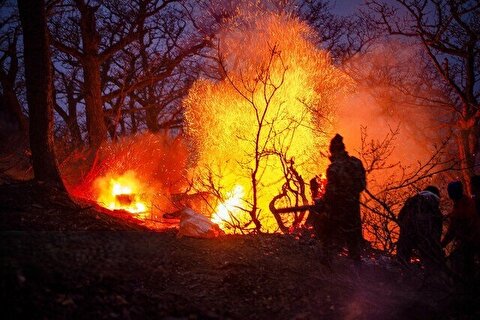 آتش‌سوزی در ۶۰ هکتار از جنگل‌های گیلان / درخواست کمک از نیرو‌های بومی