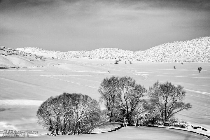 فردا در این مناطق باران و برف می بارد