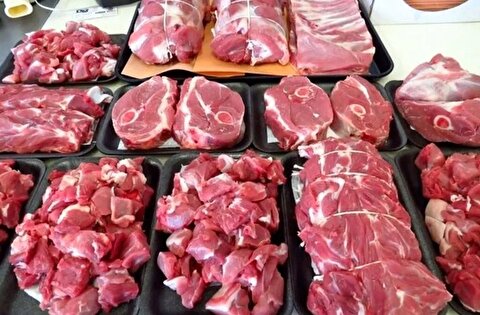 رئیس شورای تأمین دام: شوک حذف ارز ترجیحی، گوشت را هیجانی کرد