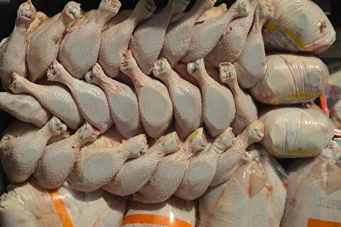 آخرین قیمت مرغ امروز سی ام دی ماه