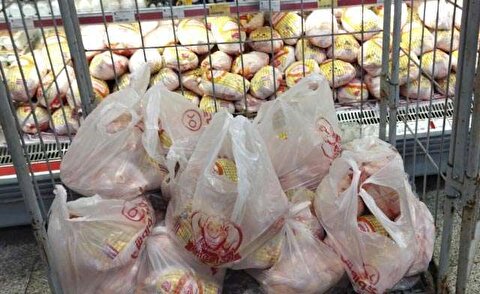 قیمت مرغ امروز ۶ دی ۱۴۰۴ + جدول