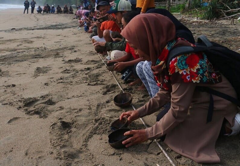 عکس/ رها کردن ۱۵۰ بچه لاک‌پشت زیتونی ریدلی در سواحل جاوه شرقی