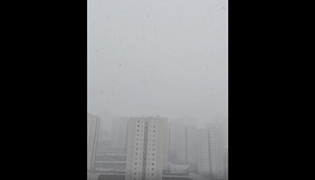 ببینید/ بارش برف در پردیس تهران