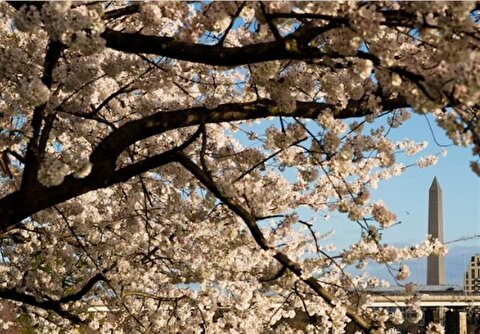 شکایت از دولت ترامپ به دلیل دست گذاشتن بر روی یک زمین گلف عمومی