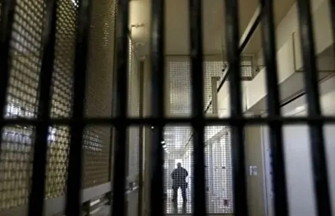 مهدی محمودیان و عبدالله مومنی و ویدا ربانی آزاد شدند