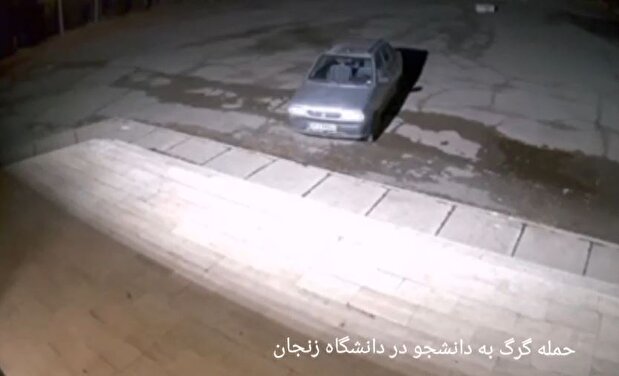 ویدیو/ وحشت در دانشگاه زنجان/ حمله یک قلاده گرگ به دانشجو