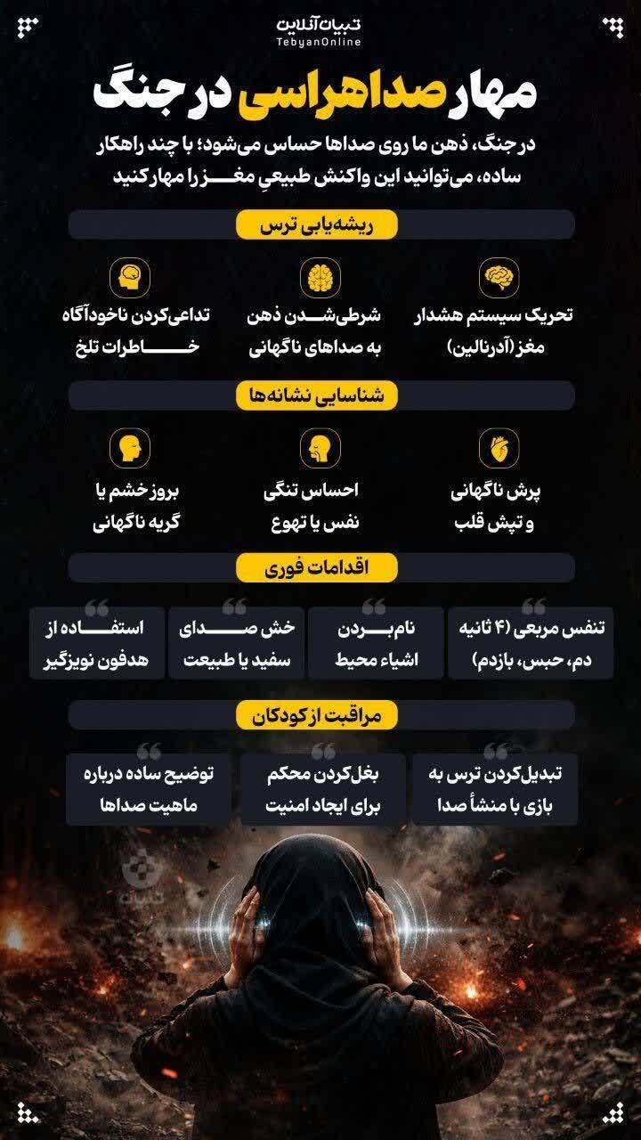 اینفوگرافیک/ مهار صداهراسی در جنگ