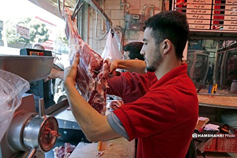 گوشت ارزان شد/ قیمت هرکیلو گوشت  چند؟