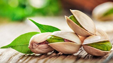 آمریکا در تولید این محصول جلوی ایران کم آورد