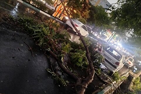 ۷ کشته و ۶۷ مصدوم در حوادث جوی هفته گذشته