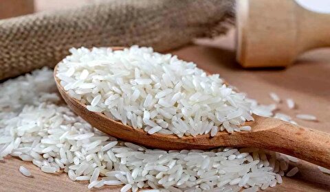 نابودی ۲۰۰هزار تن برنج در بندر شهید رجایی واقعیت دارد؟