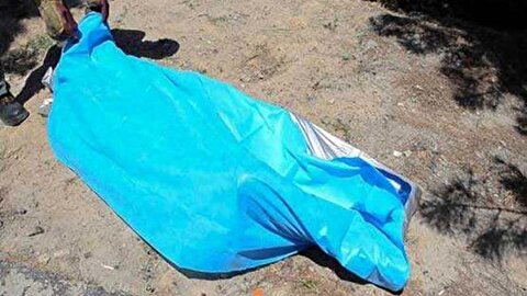 قتل پیرمرد نگهبان در پارک / جزئیات دستگیری قاتل