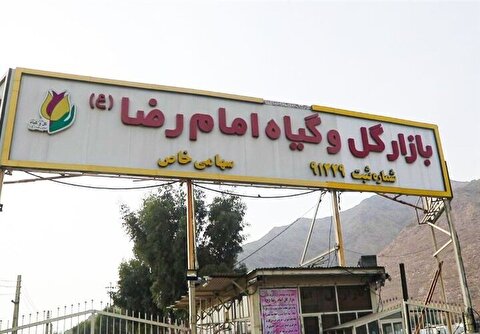 بازار گل امام رضا(ع) در آستانه پلمب/ هشدار جدی مسئولان به کاسبان