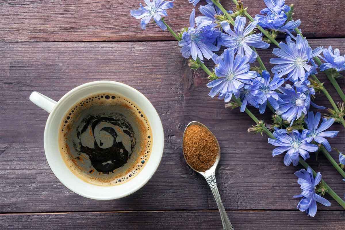 این گیاه دارویی کبدتان را نجات می‌دهد و در گرما خنک‌تان می‌کند