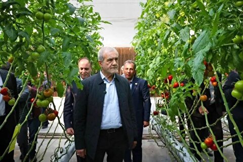 پزشکیان: مسیر برای شکوفایی ظرفیت‌های تجاری‌ هموارتر شود