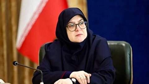 مهاجرانی:امیدواریم مذاکرات ایران و آمریکا در زمان مناسب به نتیجه برسد