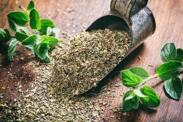خواص آویشن برای کنترل فشارخون