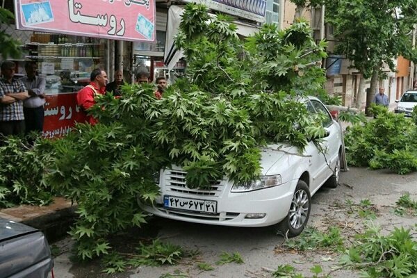 طوفان تهران ٢۴ مصدوم و یک نفر فوتی برجای گذاشت