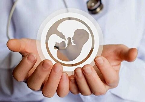 هشدار درباره فعالیت مافیای اهدای تخمک