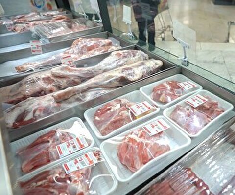 واردات گوشت قرمز متوقف شد؟