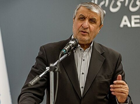 رئیس سازمان انرژی اتمی: شاهد برخی از پیشرفت‌ها در مذاکرات غیرمستقیم با آمریکا هستیم