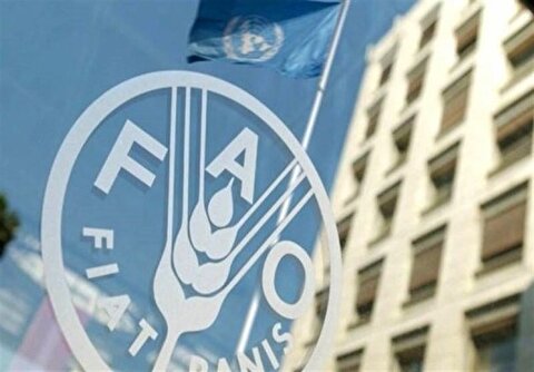 حق رای ایران در فائو پس از ۱۵ سال احیا شد