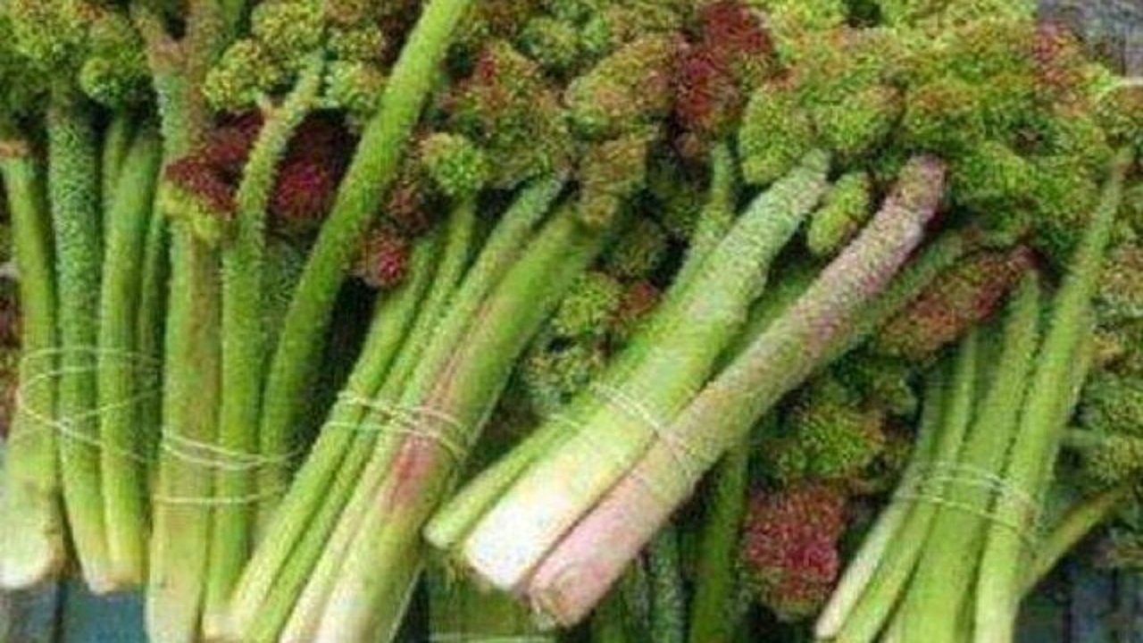 از کاهش قند خون تا پاکسازی کبد با این گیاه