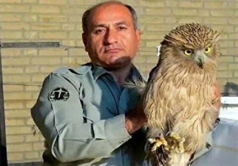 دستگیری قاتل محیط‌بان منطقه حفاظت شده خائیز
