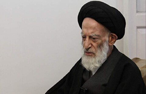 آیت‌الله شبیری زنجانی: نیروهای مسلح، رژیم رذل صهیونی را بیچاره خواهند کرد
