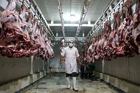 بحران جدید در راه است؟/ حذف ارز ترجیحی گوشت قرمز و تهدید امنیت غذایی
