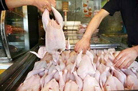 فعالیت صنایع گوشت کشور ۳ شیفته شد