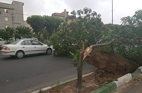 احتمال وقوع توفان‌های تندری در تهران و برخی مناطق مرکزی کشور