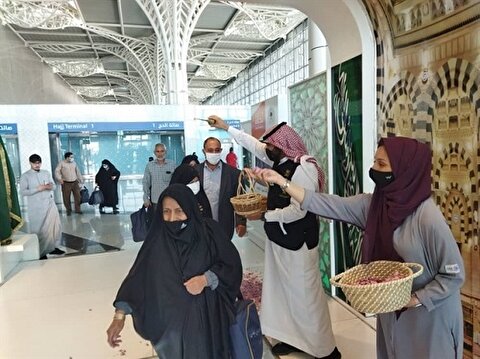 سازمان حج و زیارت: زائران به قوانین عربستان احترام بگذارند