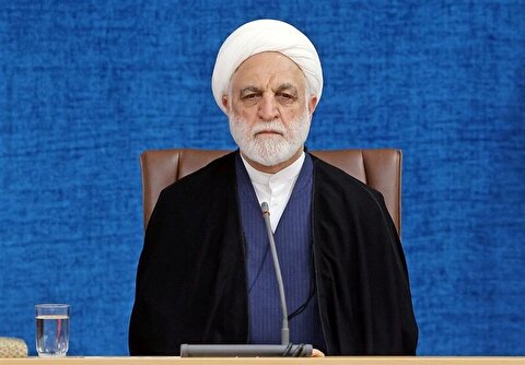 محسنی اژه‌ای: قرارداد‌های حاکمیتی نباید با تغییر دولت‌ها مخدوش شوند