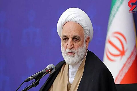 محسنی اژه‌ای: مجازات‌های جایگزین حبس یک مقوله‌ ضروری است