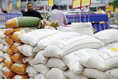 لغو ممنوعیت فصلی ترخیص برنج