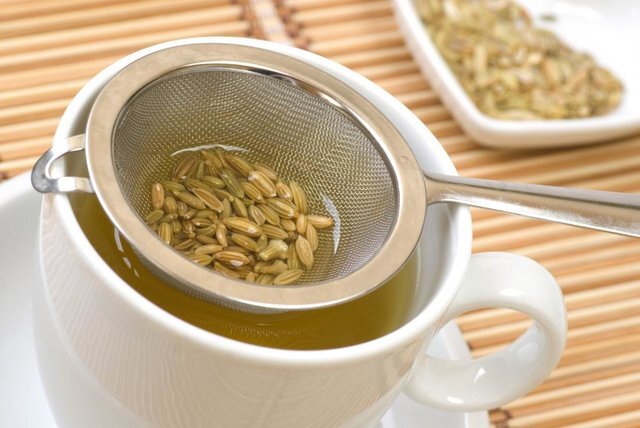 ۳ گیاه آرام‌بخش برای معده را بشناسید