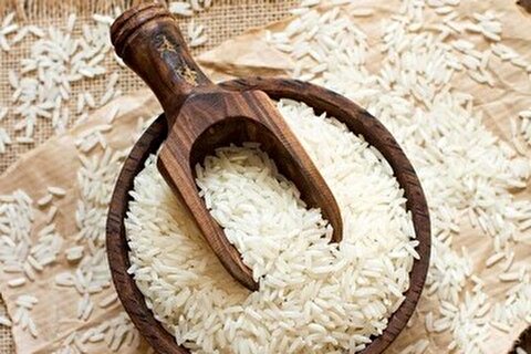 تغییر محسوس قیمت برنج ایرانی / اعلام قیمت برنج ایرانی، هندی و پاکستانی در تیر ۱۴۰۴