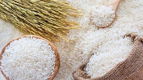 قیمت برنج به شدت تغییر کرد