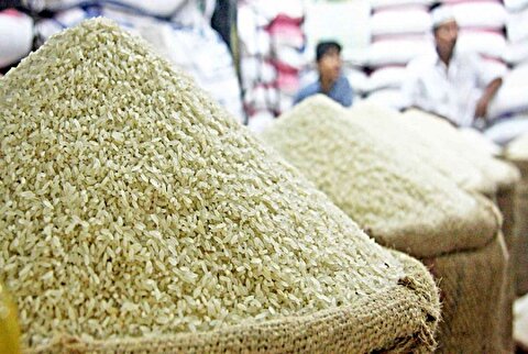 راهکار جدید برای کاهش فشار قیمت برنج به زودی اجرا می‌شود!