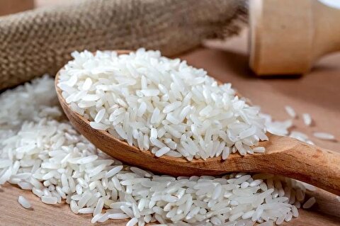 برنج وارداتی با قیمت ۵۶ تا ۷۰ هزار تومان به وفور موجود است