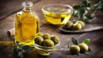 خواص درمانی روغن زیتون/ کاهش استرس آنتی‌اکسیدانی و کمک به مقابله با سرطان روده