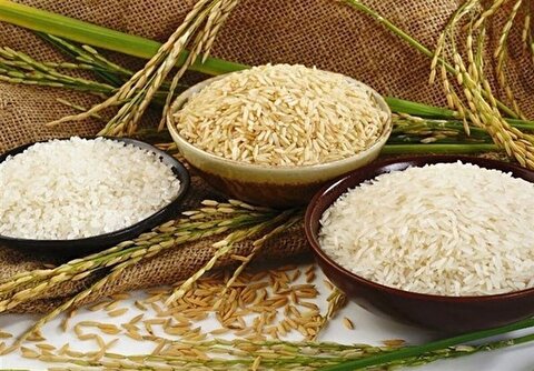 آغاز توزیع برنج ۵۶ تا ۷۰ هزار تومانی جهت تنظیم بازار