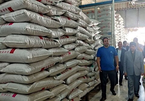 وزارت جهاد: قیمت برنج داخلی در حال کاهش است