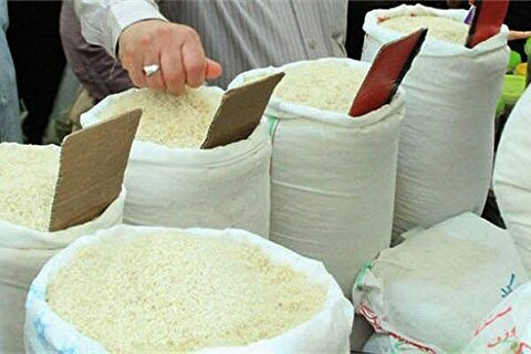 توزیع ۶۰ هزار تن برنج وارداتی در کشور