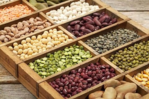 کاهش قیمت حبوبات در بازار / قیمت لوبیاچیتی چقدر شد؟