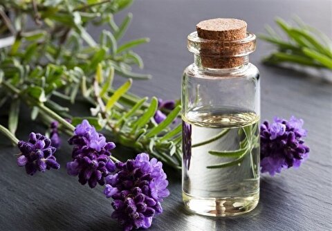 دارو‌های گیاهی بدون عارضه هستند؟ / منع مصرف دارو‌های گیاهی در زنان باردار
