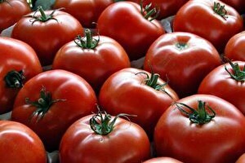 افشای شرم‌آور/ کمک‌های پنهانی مصر و اردن به رژیم صهیونیستی علی‌رغم ادعای حمایت از فلسطین